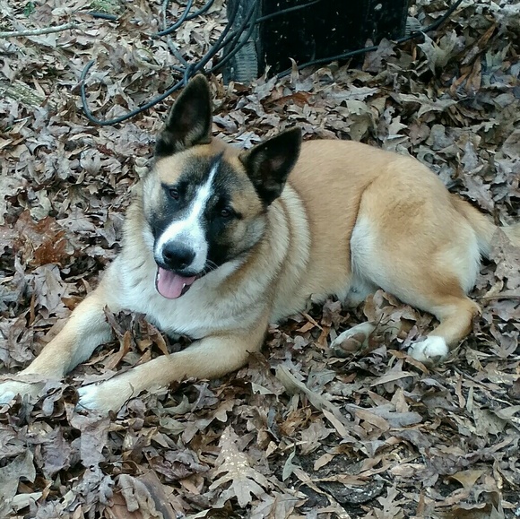 Meet your Posher, Leann - Picture 1 of 1